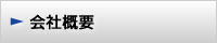 ЊTv